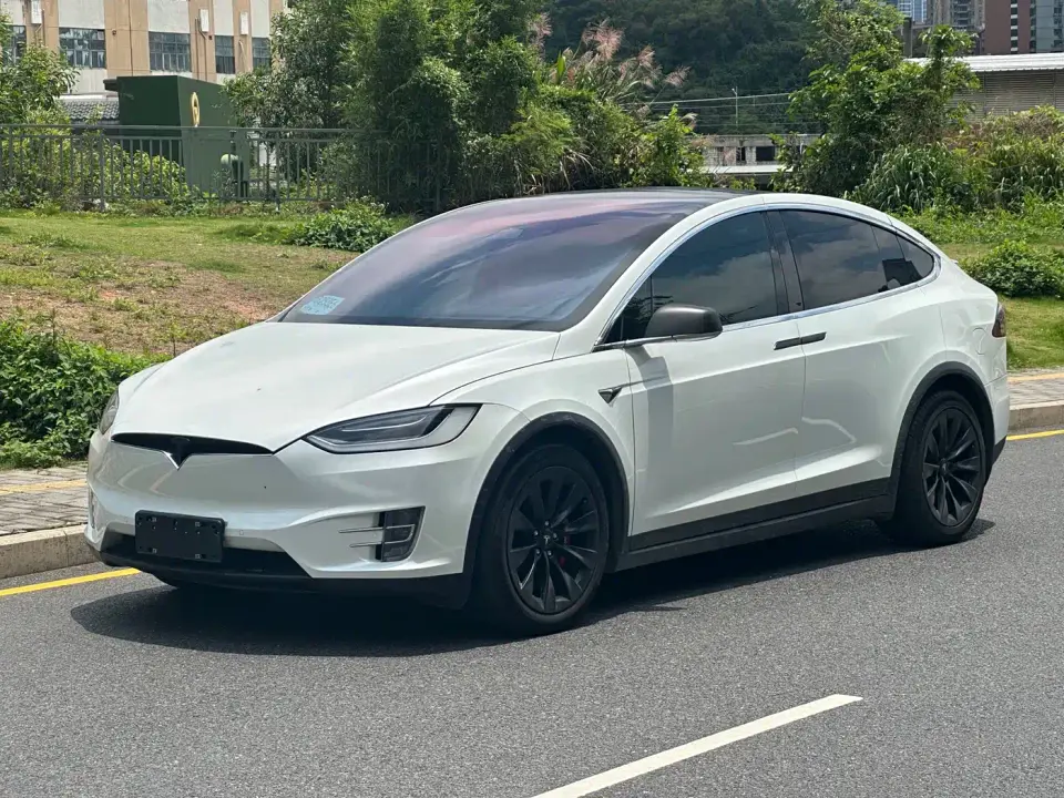 Tesla Model X Model X 100D Long Range 2019