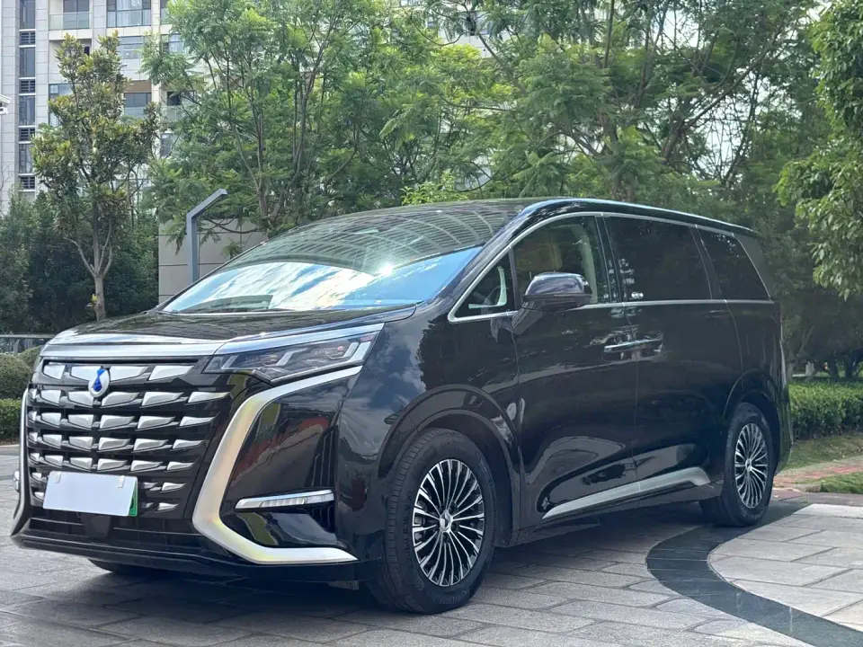Denza D9 DM-i 1050 Premium 2025