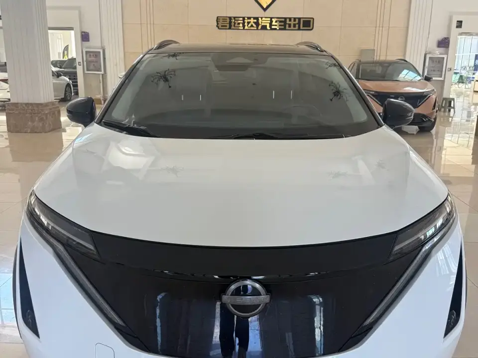Nissan ARIYA 4WD High Performance Top Edition 2023