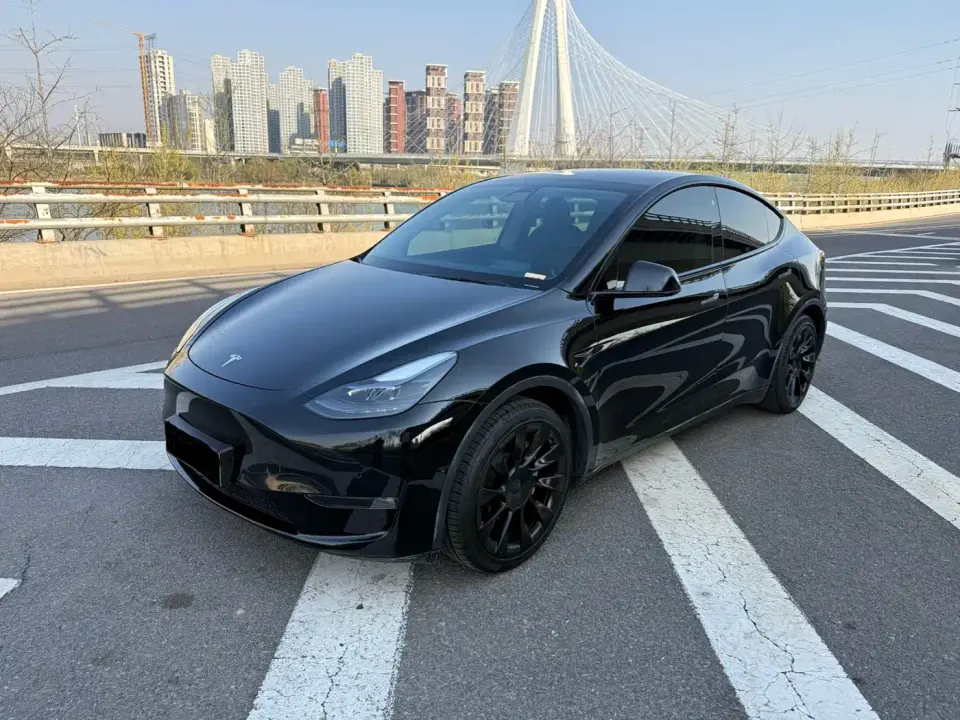Tesla Model Y Standard Range Rear-Wheel Drive 2021