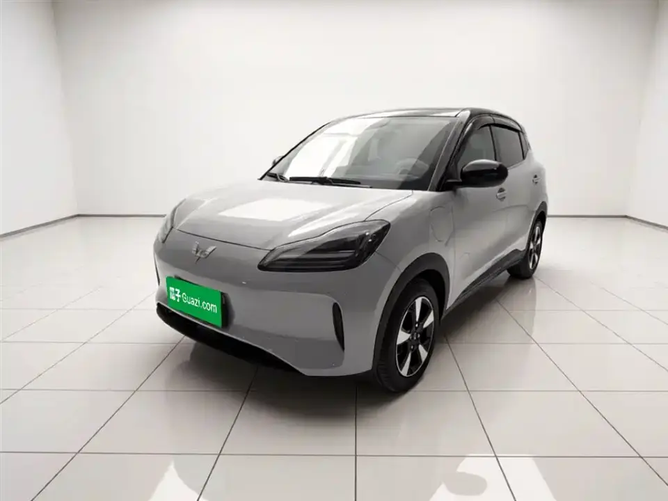 Wuling Motors Wuling Binguo PLUS 401km Range 5-seater 2024