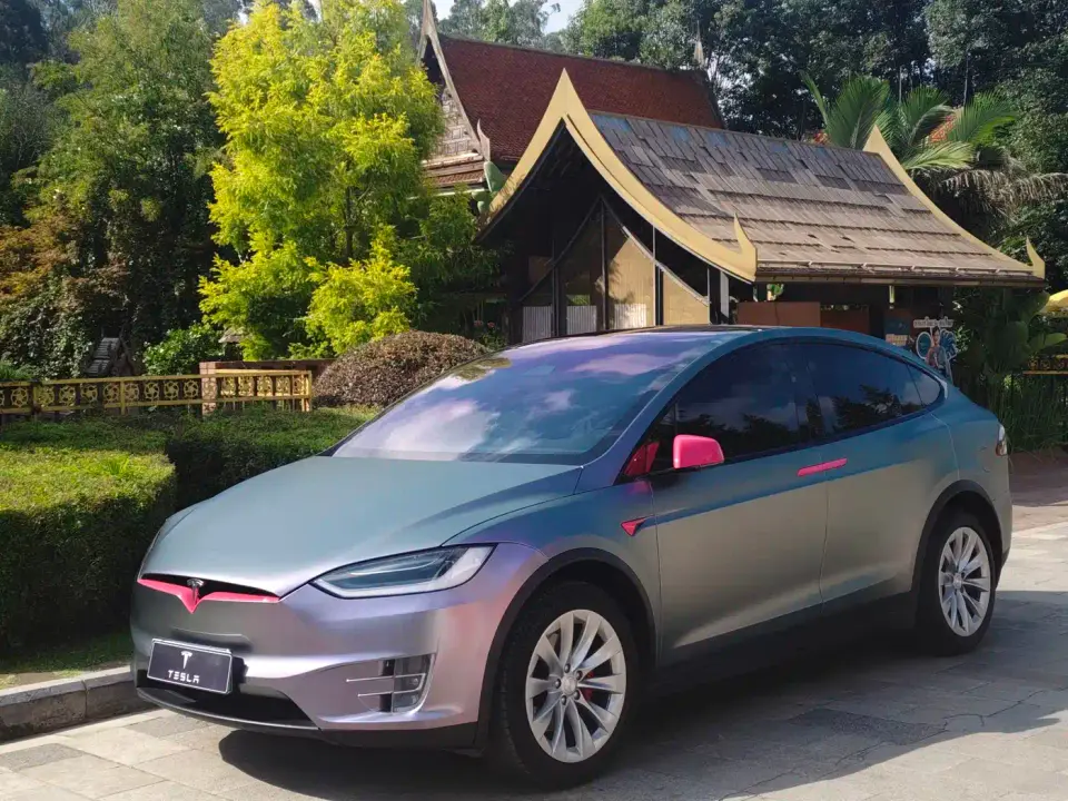 Tesla Model X Model X P100D Performance 2019