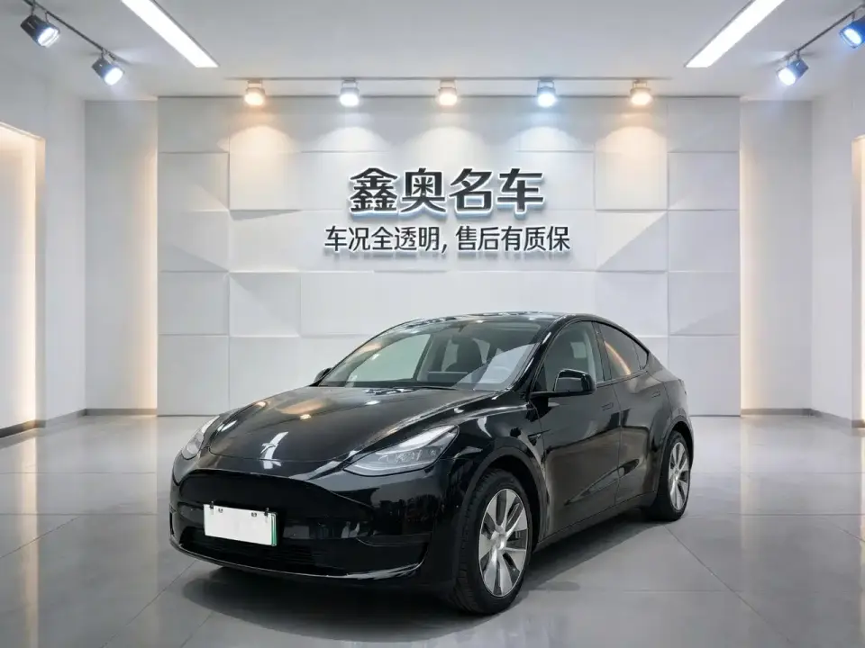 Tesla Model Y Rear-Wheel Drive Version 2022