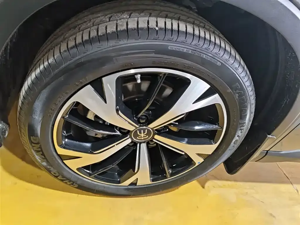 BYD Song Pro New Energy 2nd Gen DM-i 115KM Excellence 2024 — фото 23