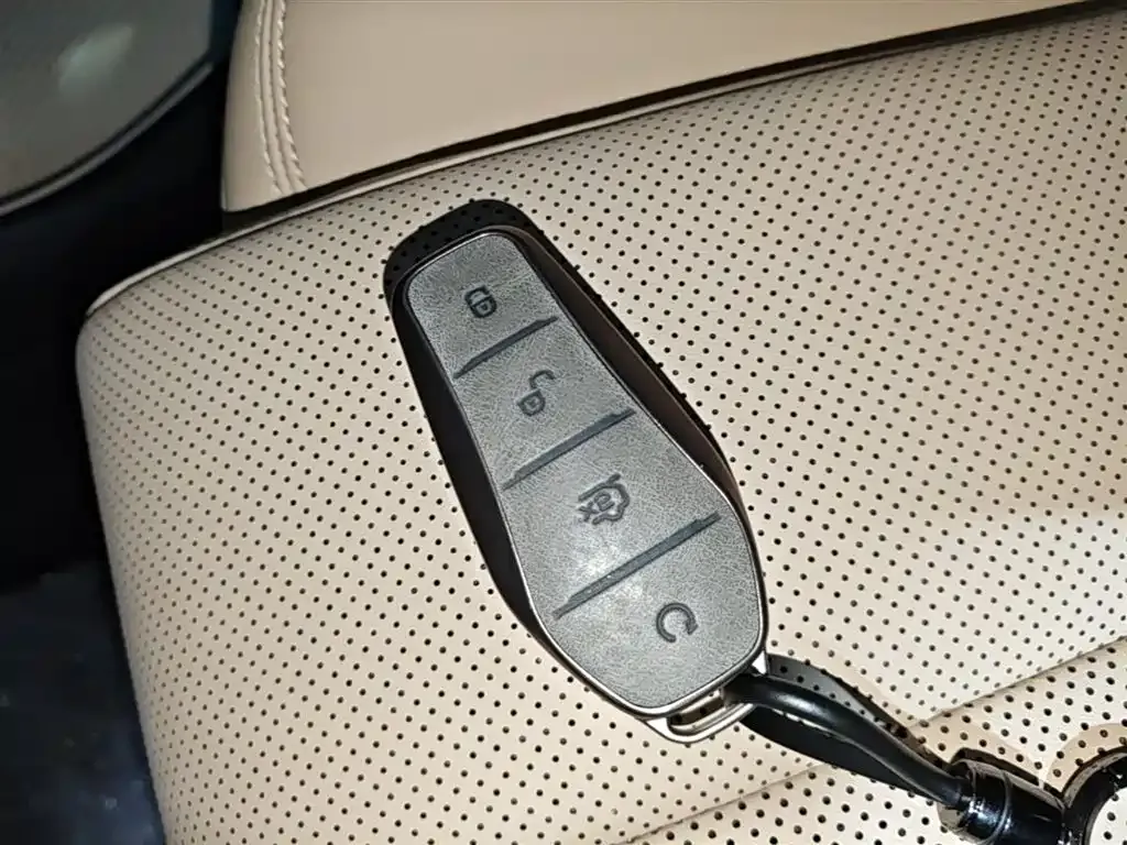 BYD Song Pro New Energy 2nd Gen DM-i 115KM Excellence 2024 — фото 9