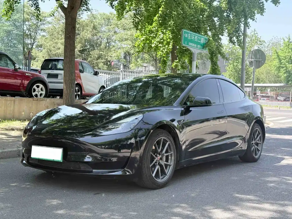 Tesla Model 3 Standard Range Rear-Wheel Drive Upgrade 3D6 2021