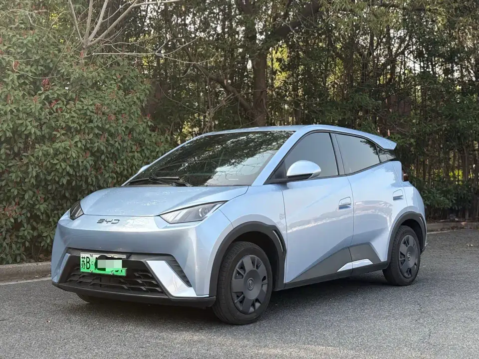 BYD Seagull Glory Edition 305km Vitality Edition 2024