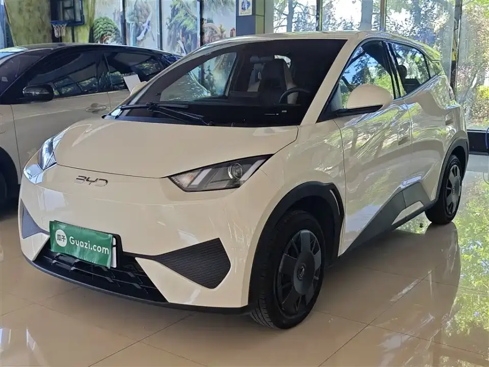 BYD Seagull 305km Vitality 2025