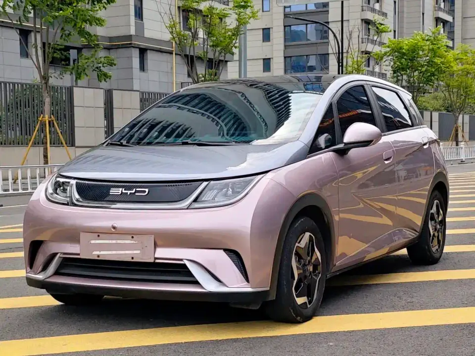 BYD Dolphin Model 405km Fashion Edition 2022