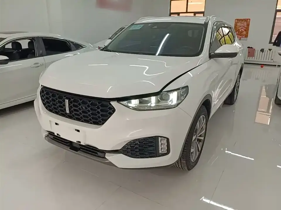 Wey VV6 2.0T 2WD Super Luxury China V 2019