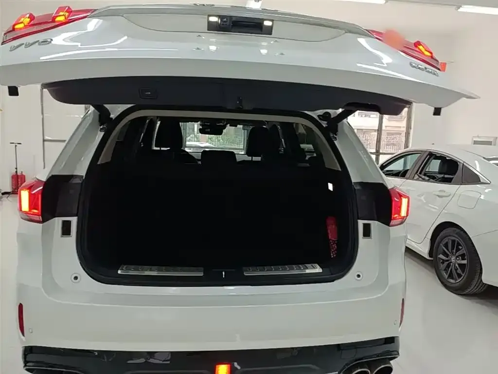 Wey VV6 2.0T 2WD Super Luxury China V 2019 — фото 19
