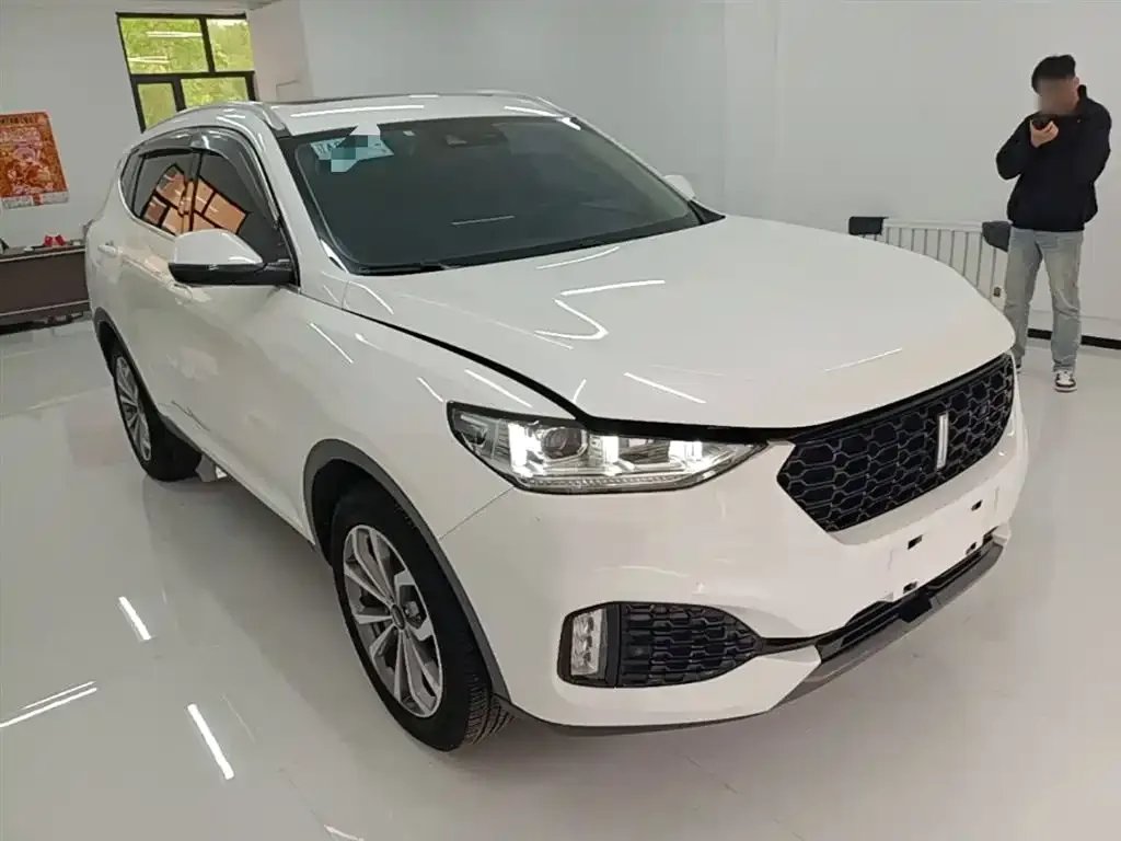 Wey VV6 2.0T 2WD Super Luxury China V 2019 — фото 4