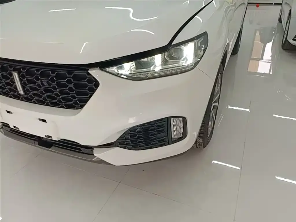 Wey VV6 2.0T 2WD Super Luxury China V 2019 — фото 24