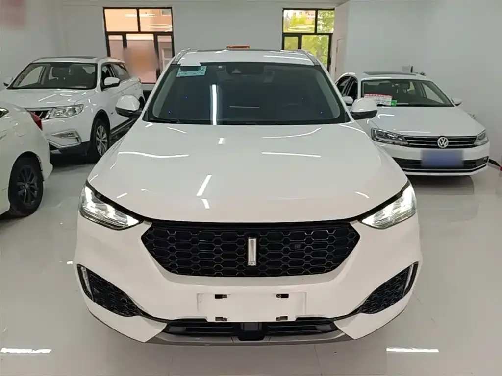 Wey VV6 2.0T 2WD Super Luxury China V 2019 — фото 3