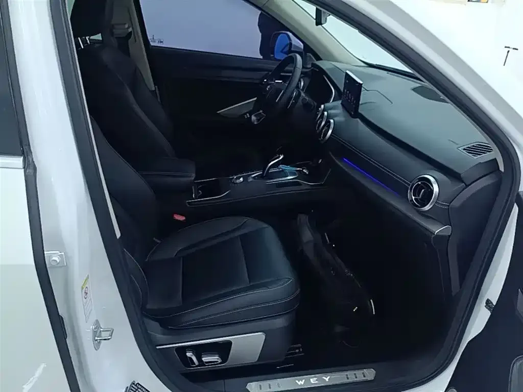 Wey VV6 2.0T 2WD Super Luxury China V 2019 — фото 25