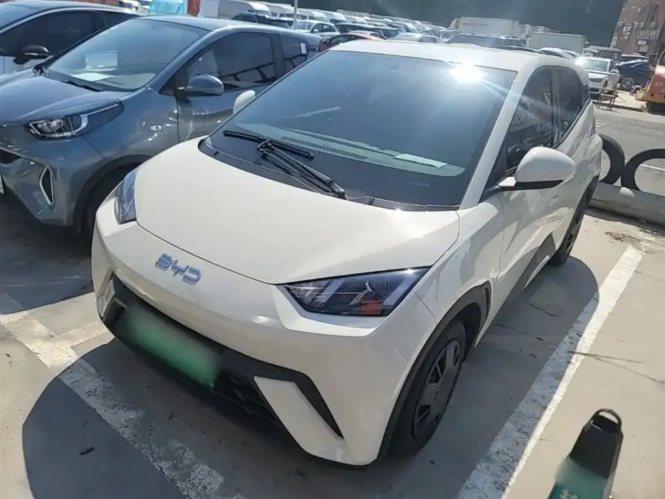BYD Seagull 305km Vitality 2025