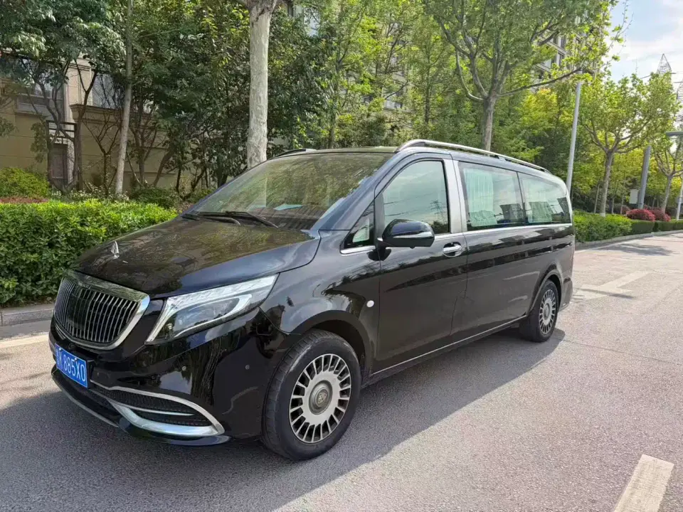 Mercedes-Benz Vito 2.0T Business Edition China VI 2020