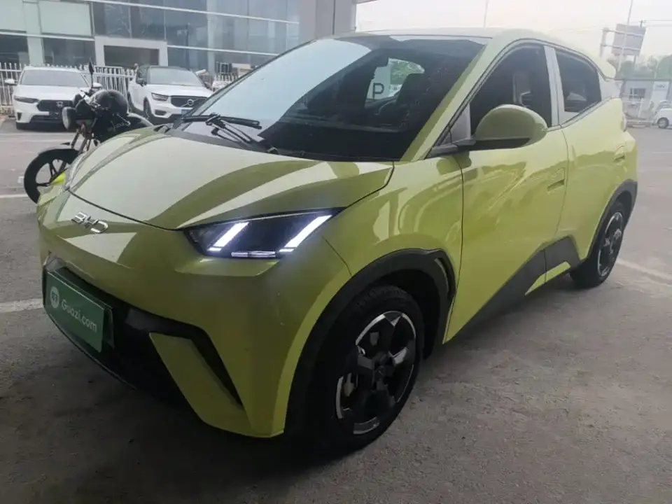 BYD Seagull Glory Edition 305km Freedom Edition 2024