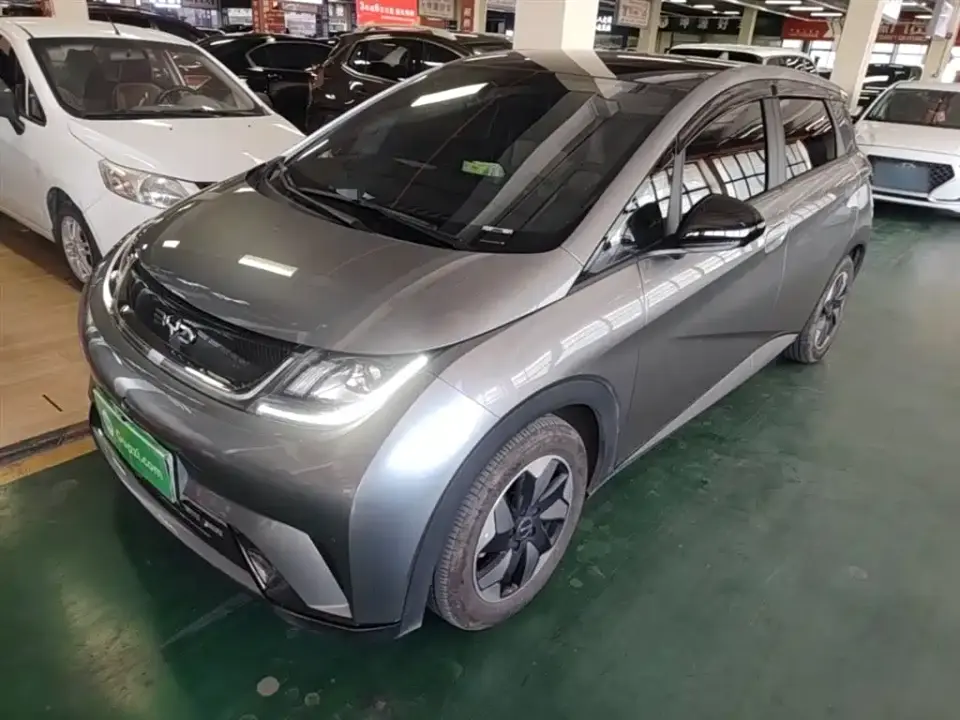 BYD Dolphin Glory Edition 420km Fashion Edition 2024