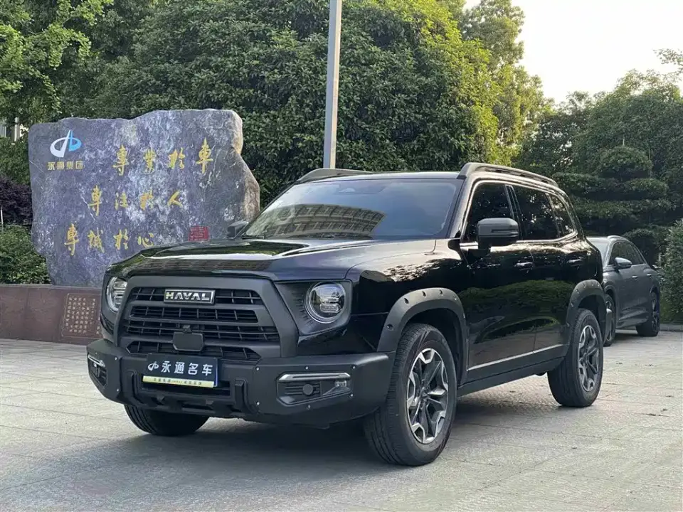 Haval Big Dog 2.0T DCT Chinese Rural Dog Edition 2024