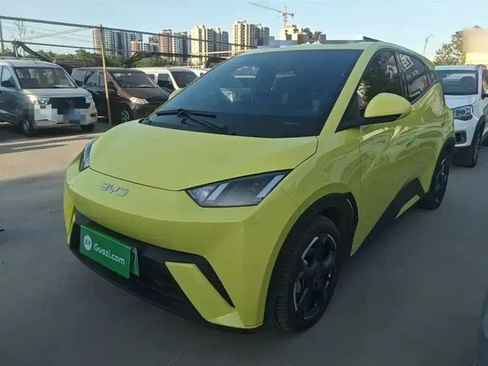 BYD Seagull Glory Edition 305km Freedom Edition 2024