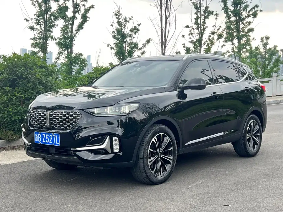 Wey VV6 2.0T FWD Smart Drive+ 2021