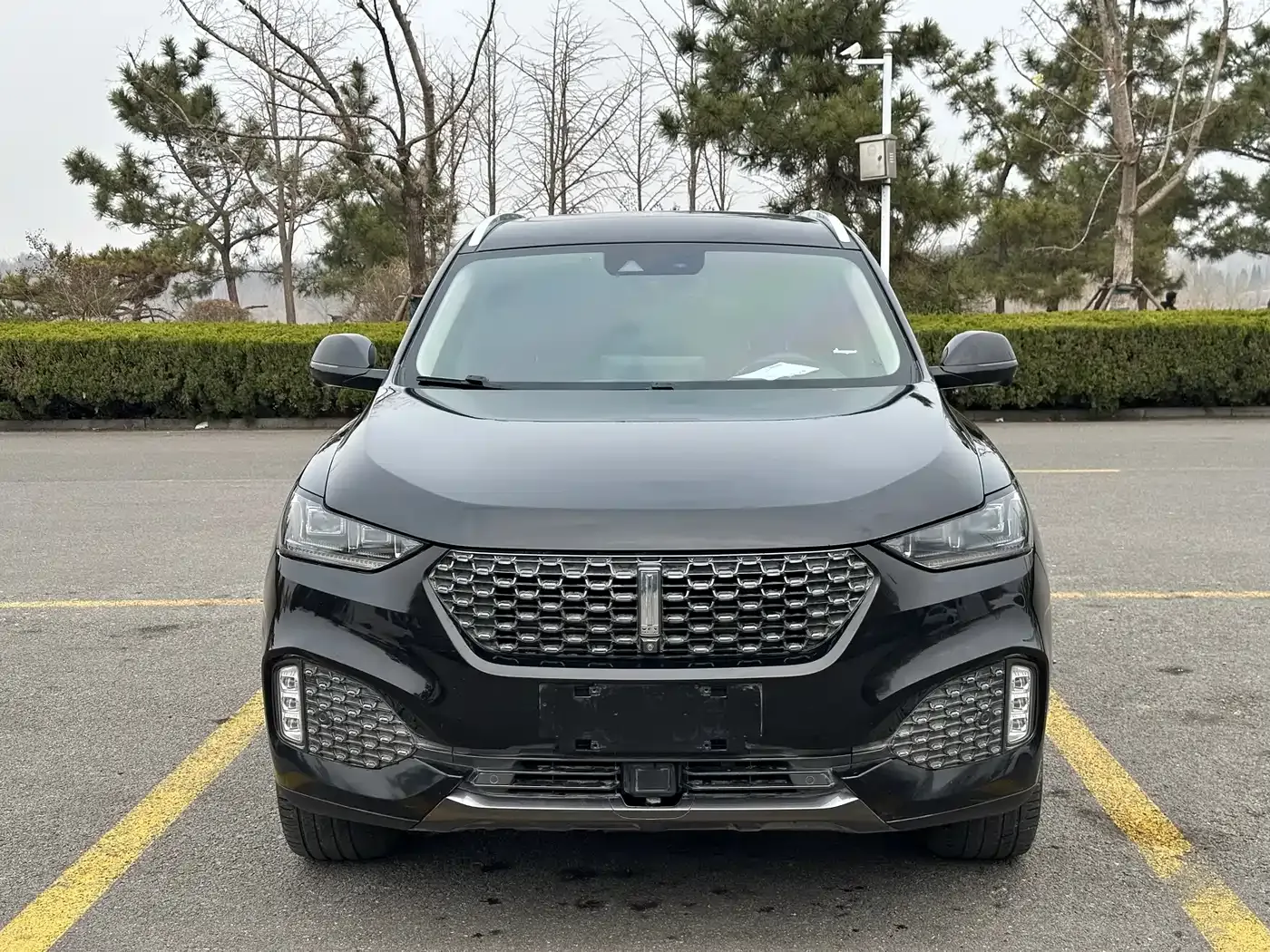 Wey VV6 2.0T 2WD Smart Protection+ 2020 — фото 2