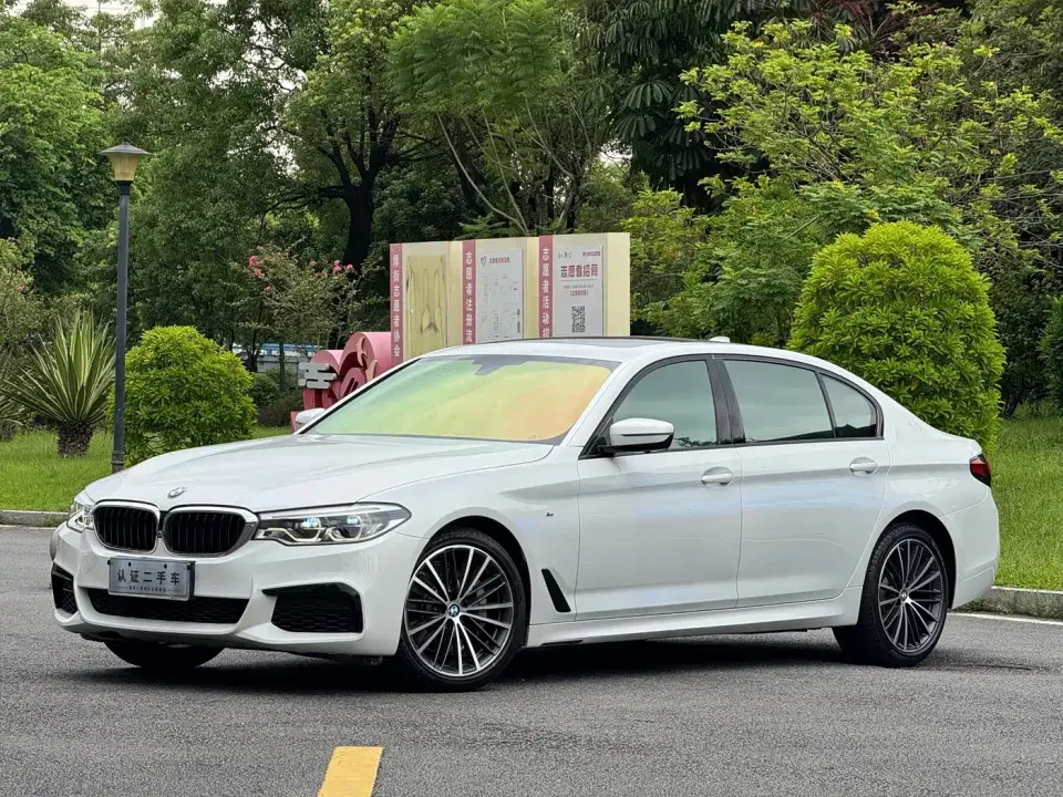 BMW 5 Series 530Li Leading M Sport Package 2020