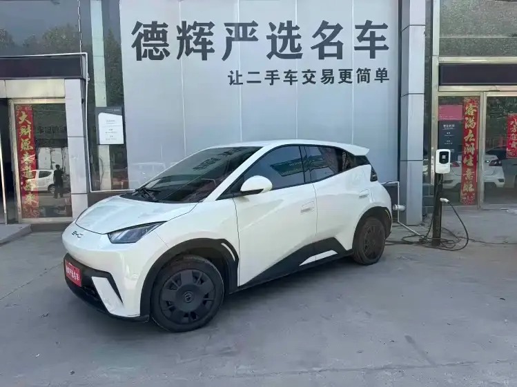 BYD Seagull Vitality Edition 2024