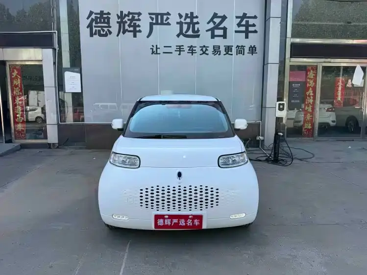 ORA White Cat 360km Standard Model 2021