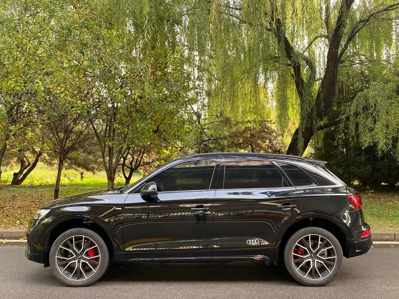 Audi Q5L Model 45 TFSI Luxury Dynamic 2024 — фото 3