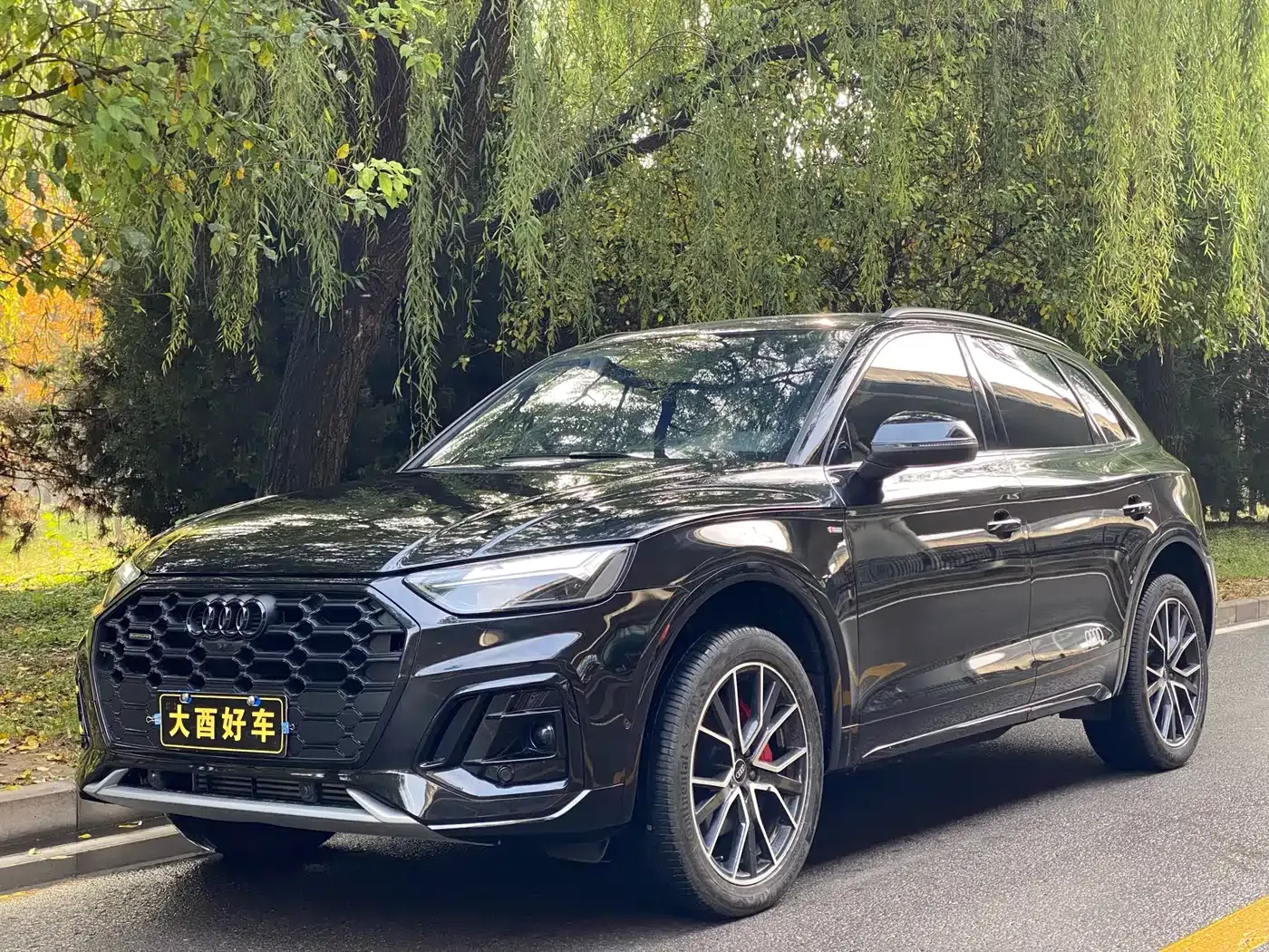 Audi Q5L Model 45 TFSI Luxury Dynamic 2024