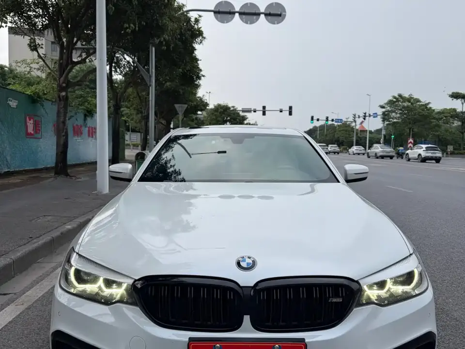 BMW 5 Series 530Li Leading M Sport Package 2019