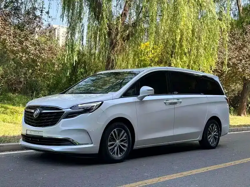 Buick GL8 Model ES Landglory 653T Comfort 2020