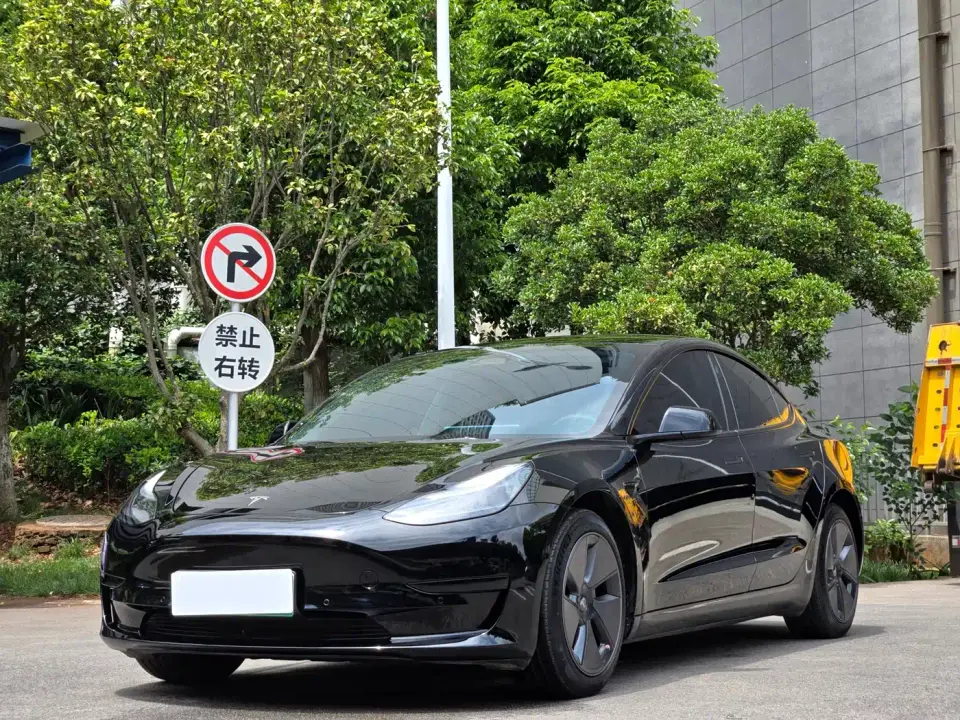 Tesla Model 3 Model Rear-Wheel Drive Version 2023