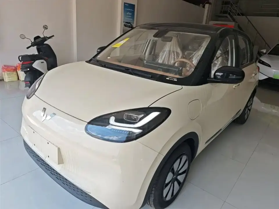 Wuling Motors Wuling Bingo Model 333km Joy Edition 2026