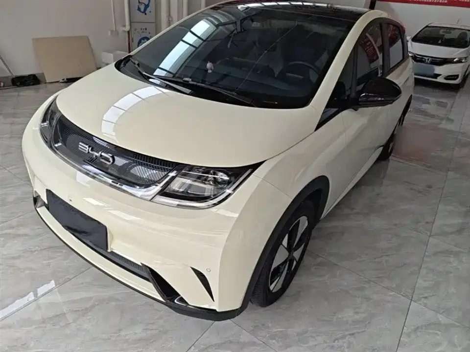 BYD Dolphin 420km Fashion Edition 2024