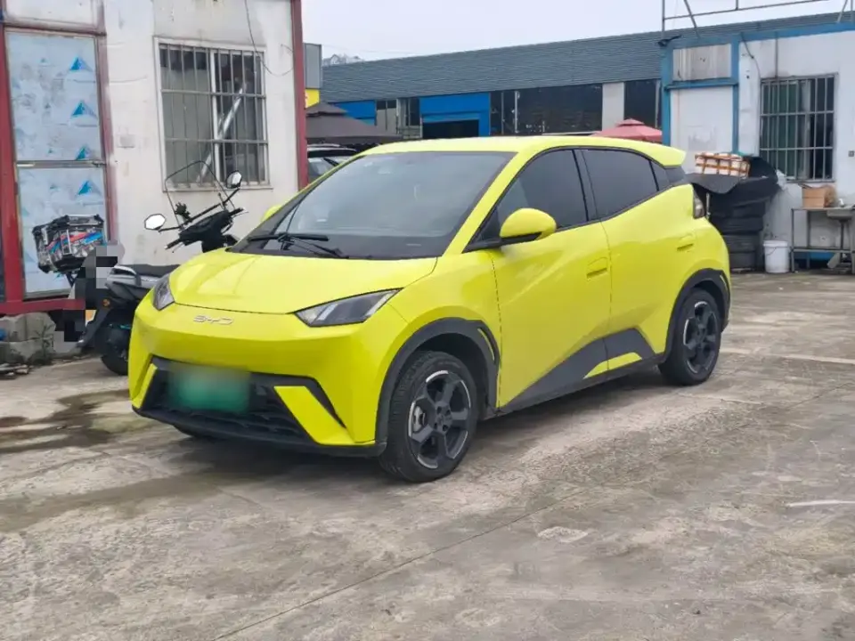 BYD Seagull Flying Edition 2023
