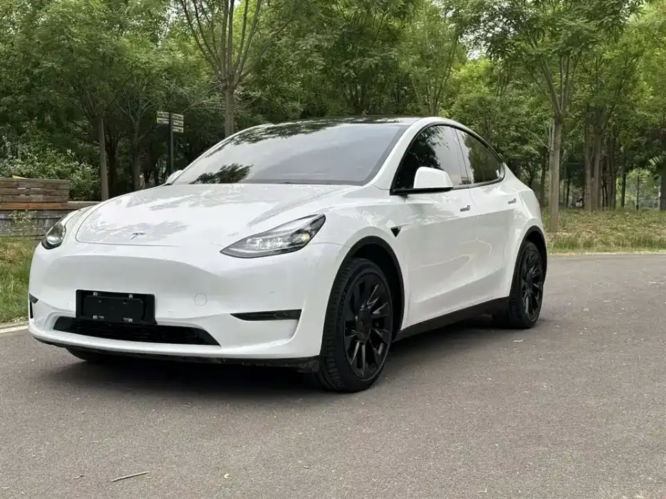 Tesla Model Y Model Long Range AWD 2021