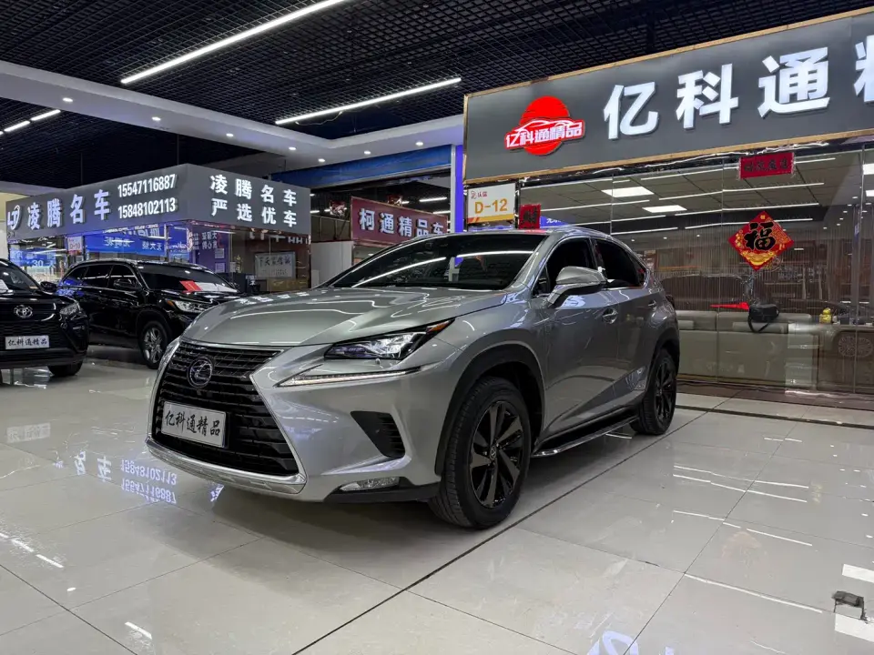 Lexus NX 300h FWD Fengyue Edition China VI 2020