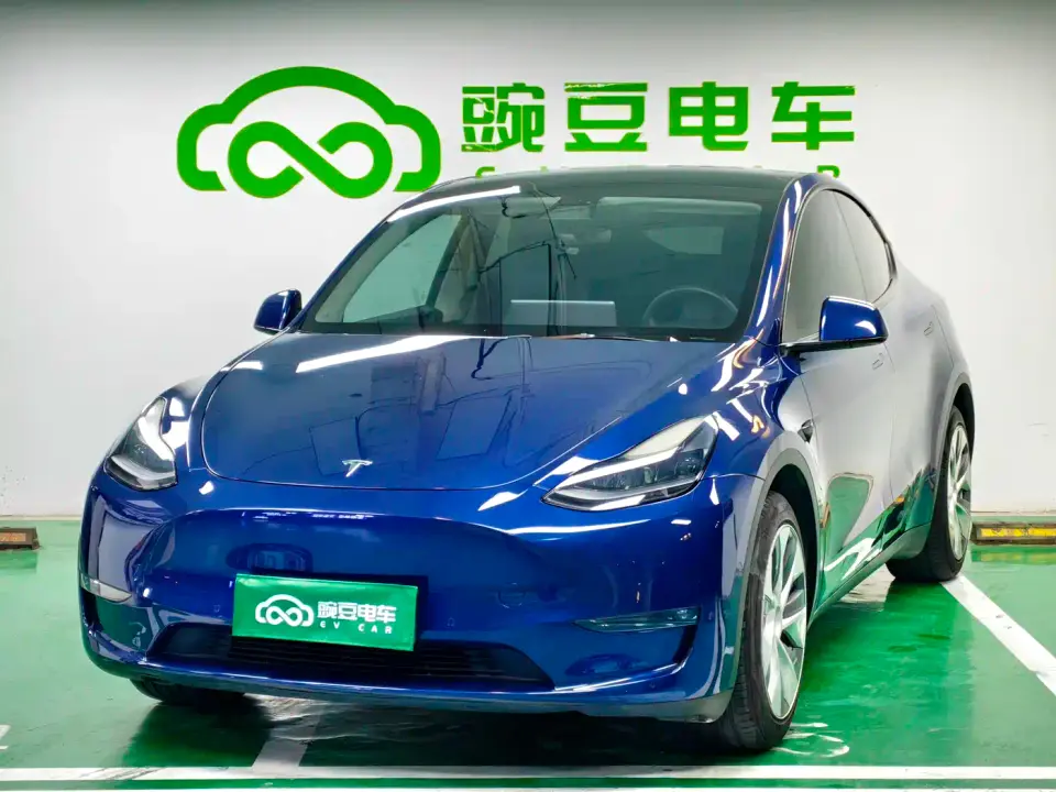 Tesla Model Y Model Long Range AWD 2021