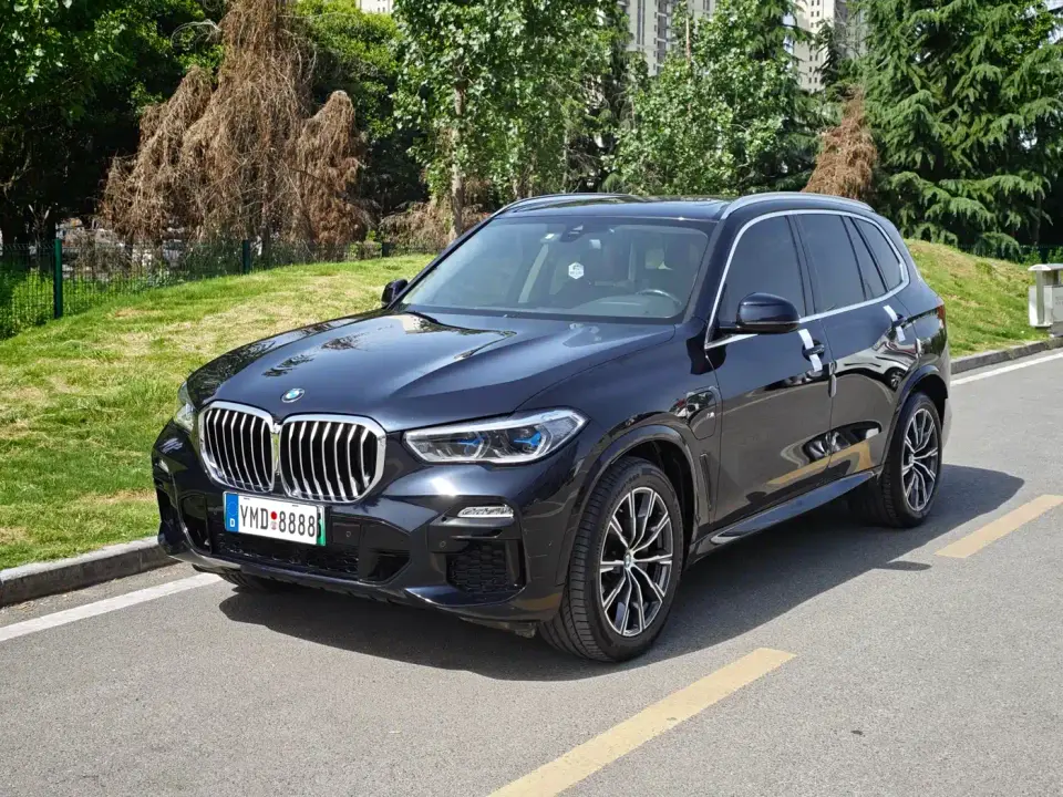 BMW X5 New Energy(Imported) xDrive45e M Sport Package 2021