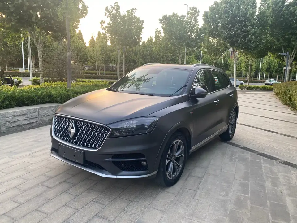 Borgward BX7 2.0T TS AWD Luxury (China V) 2019