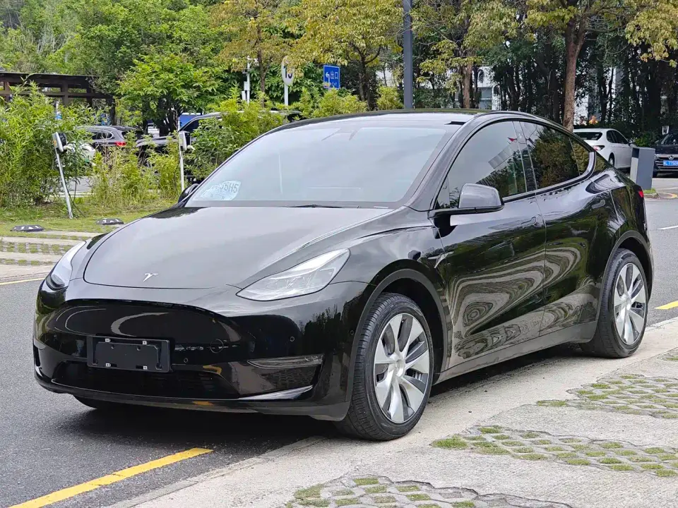 Tesla Model Y Standard Range Rear-Wheel Drive 2021