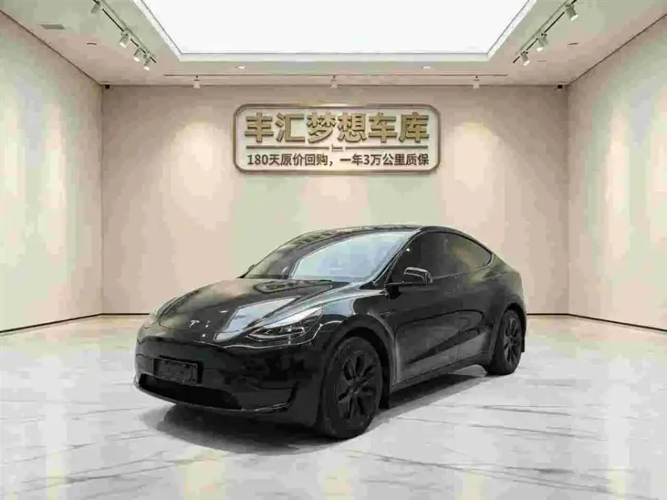 Tesla Model Y Rear-Wheel Drive Version 2024