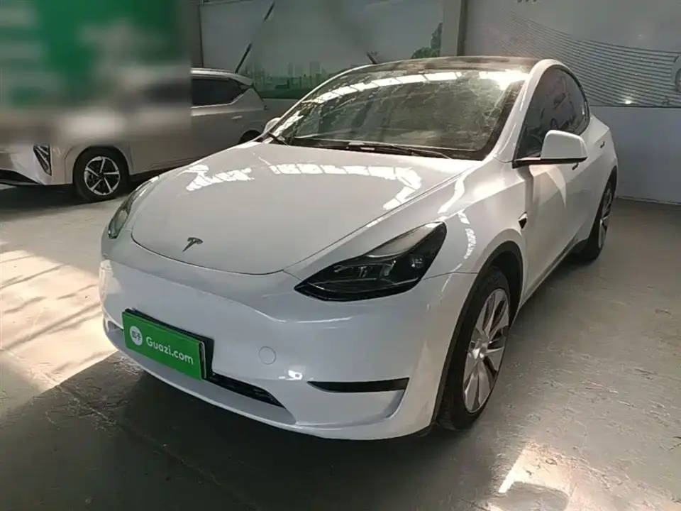 Tesla Model Y Rear-Wheel Drive Version 2023