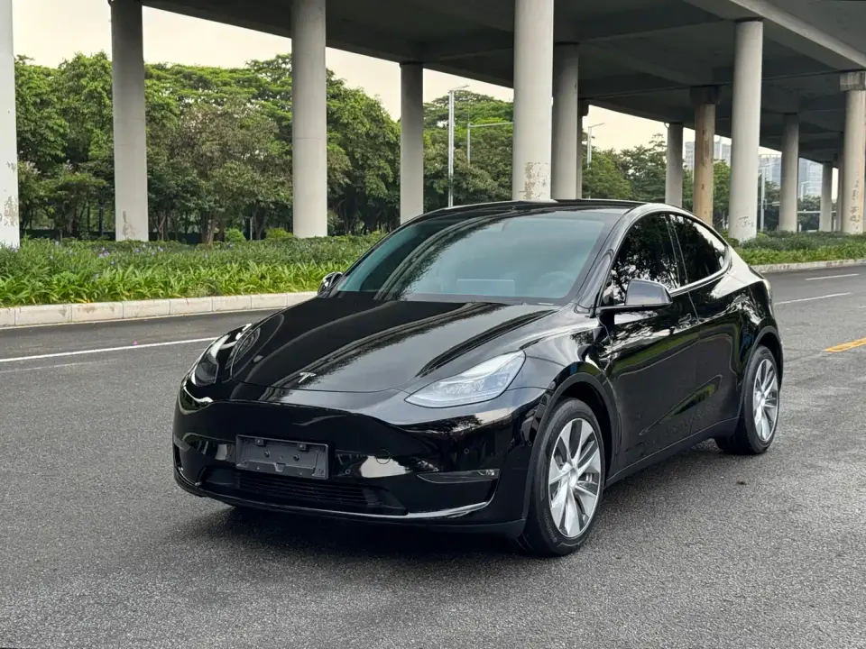Tesla Model Y Model Long Range AWD 2021