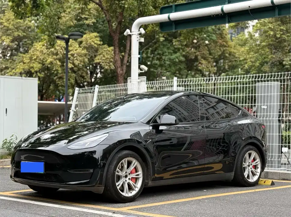 Tesla Model Y Rear-Wheel Drive Version 2021