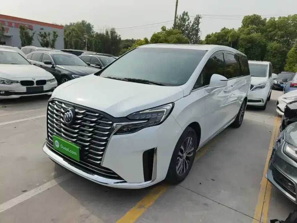 Buick GL8 ES Landmaster Comfort 2024