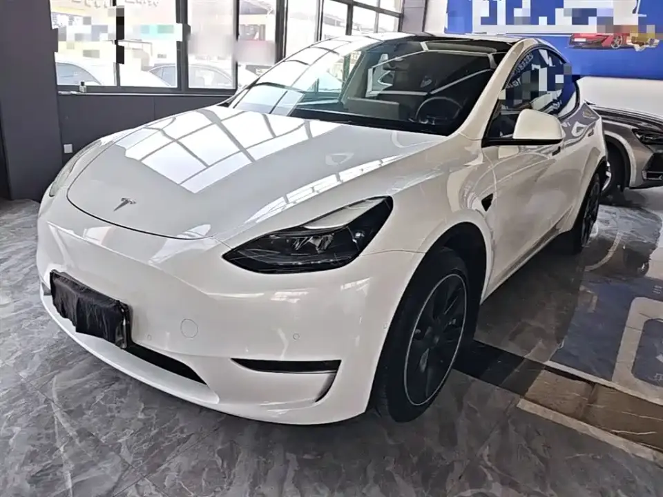 Tesla Model Y Long Range All-Wheel Drive 3D7 2021